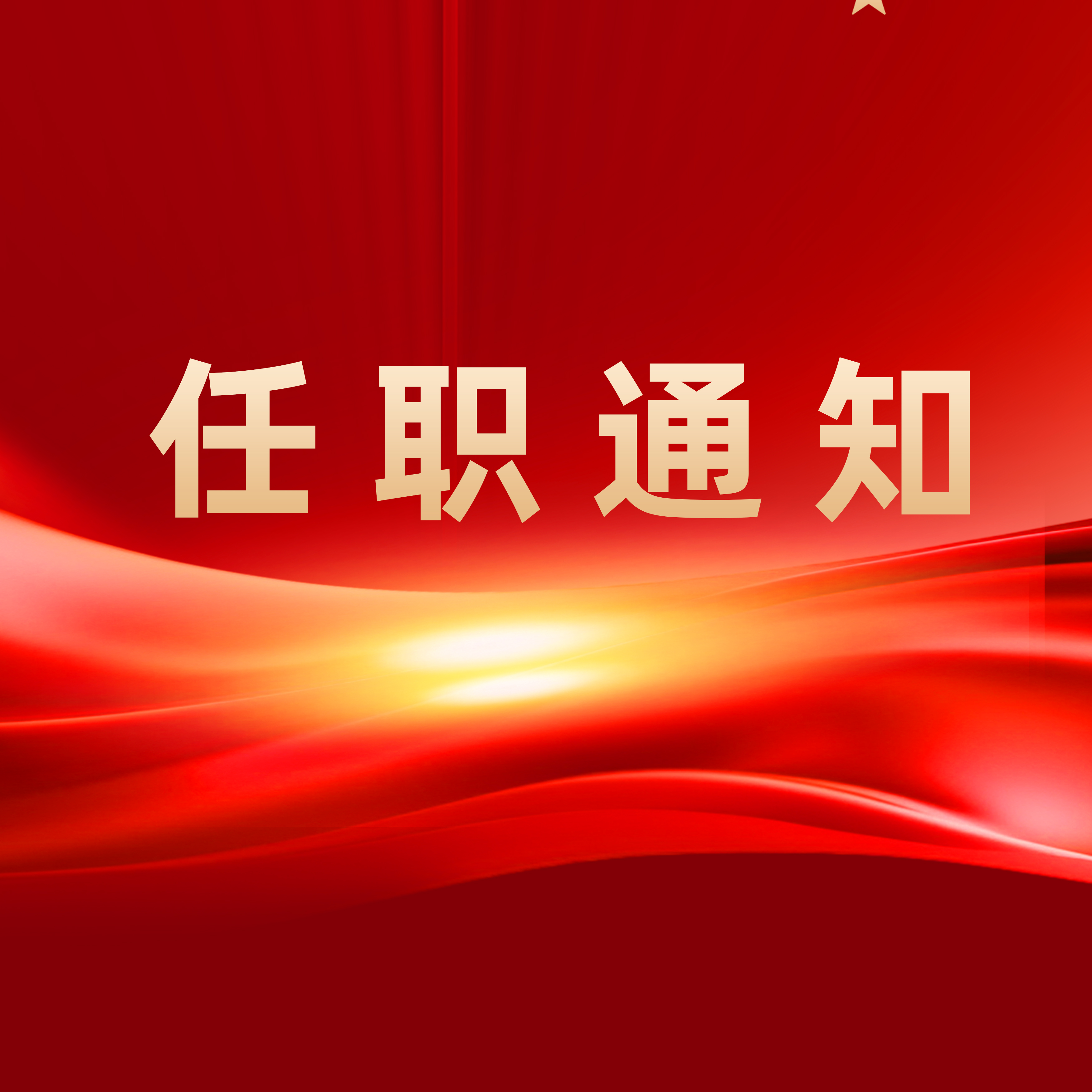 任职通知